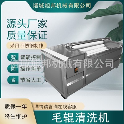 多功能蓮藕萵苣去皮清洗機(jī) 海蠣子去雜清洗設(shè)備 百香果毛輥清洗機(jī)