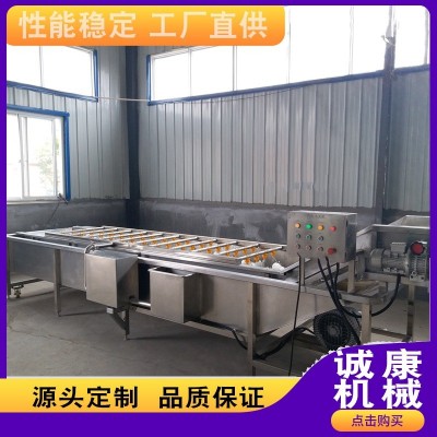 大型果蔬清洗機(jī)山楂紅棗冬棗清洗機(jī)蔬菜加工設(shè)備